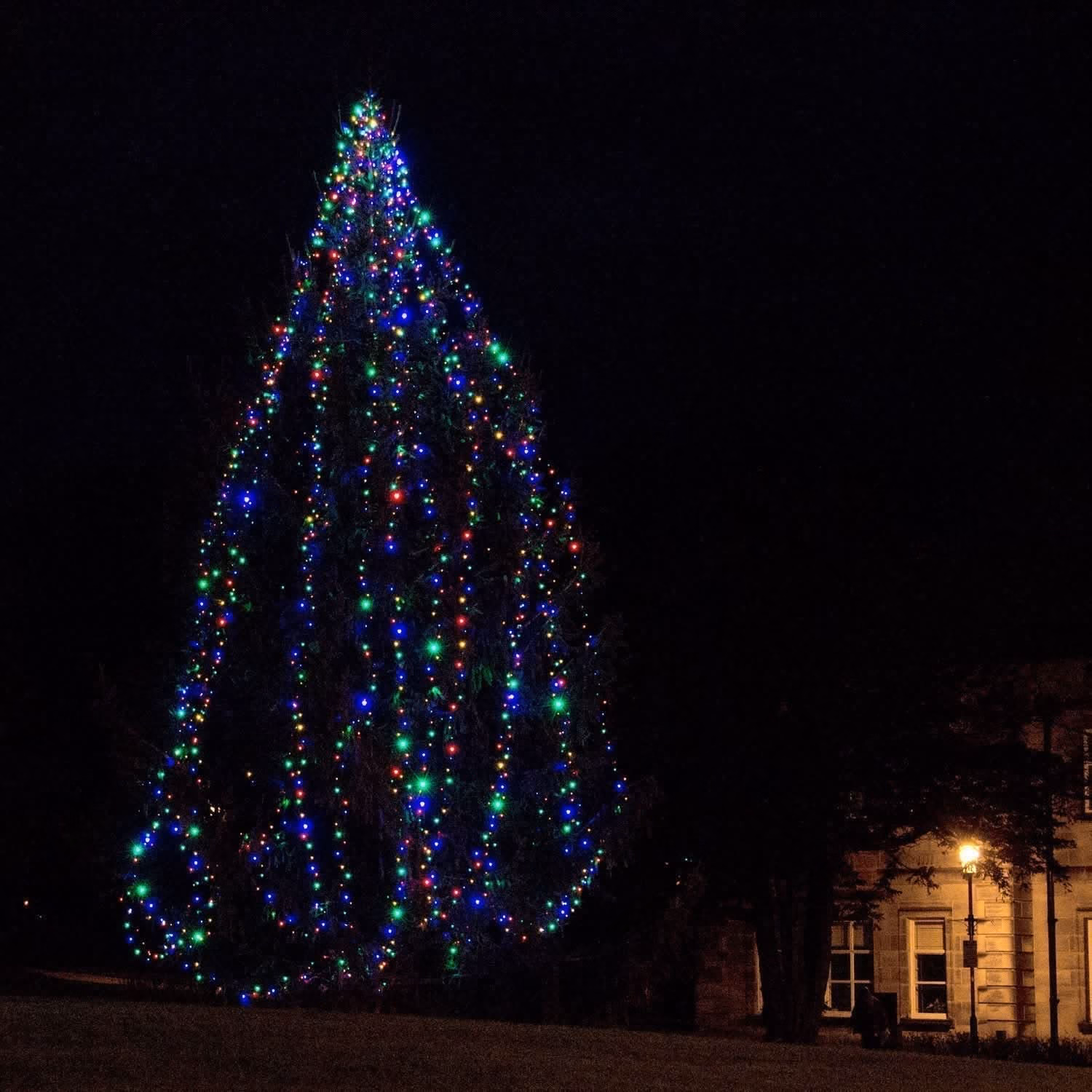 Luzes de Fada Core Connect – 80 m com Temporizador e 8 Efeitos - Image 7