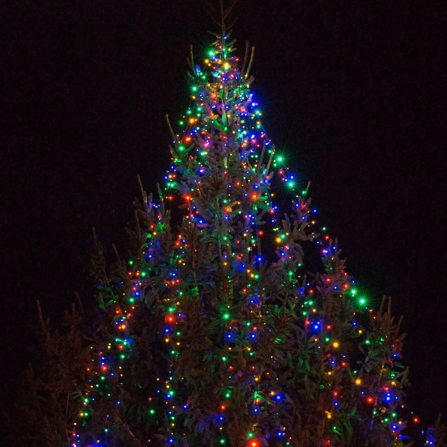 100 Luzes Multicolors - Image 5