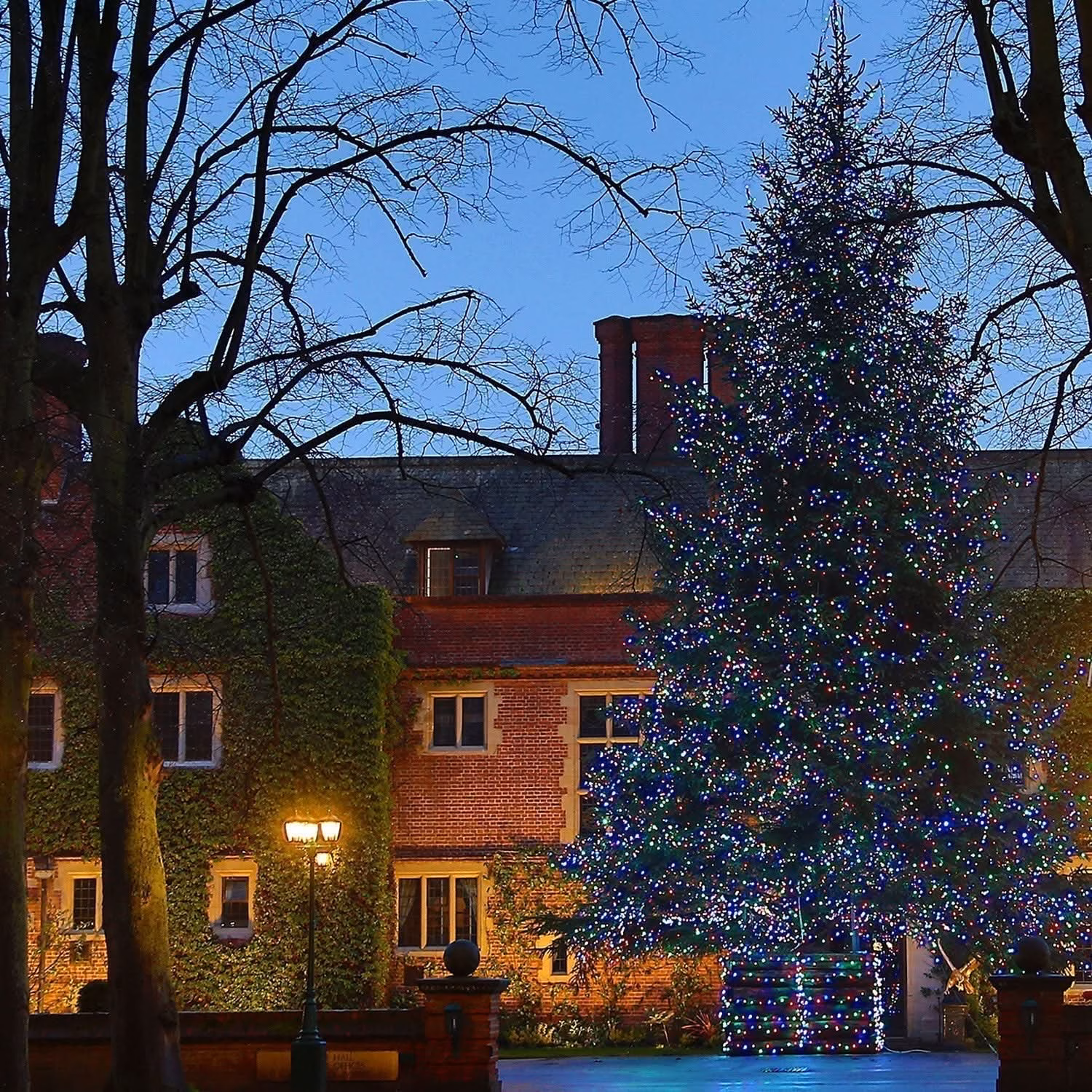 Luzes de Fada Core Connect – 80 m com Temporizador e 8 Efeitos - Image 3