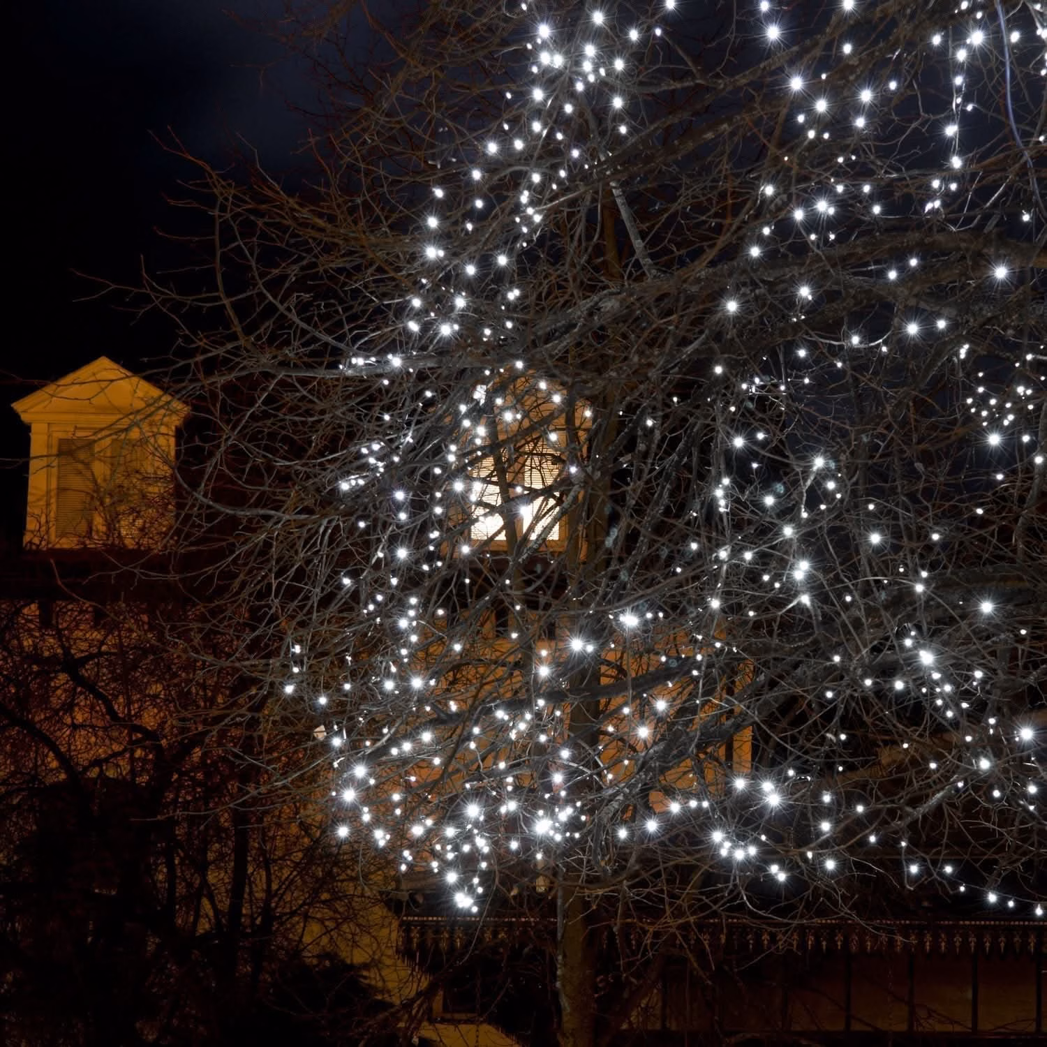 200 Luzes de Natal LED Brancas - Image 7