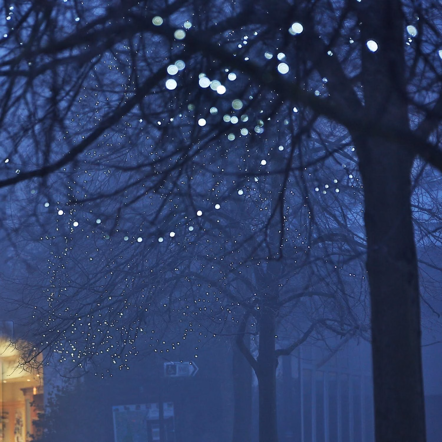 200 Luzes de Natal LED Brancas - Image 3