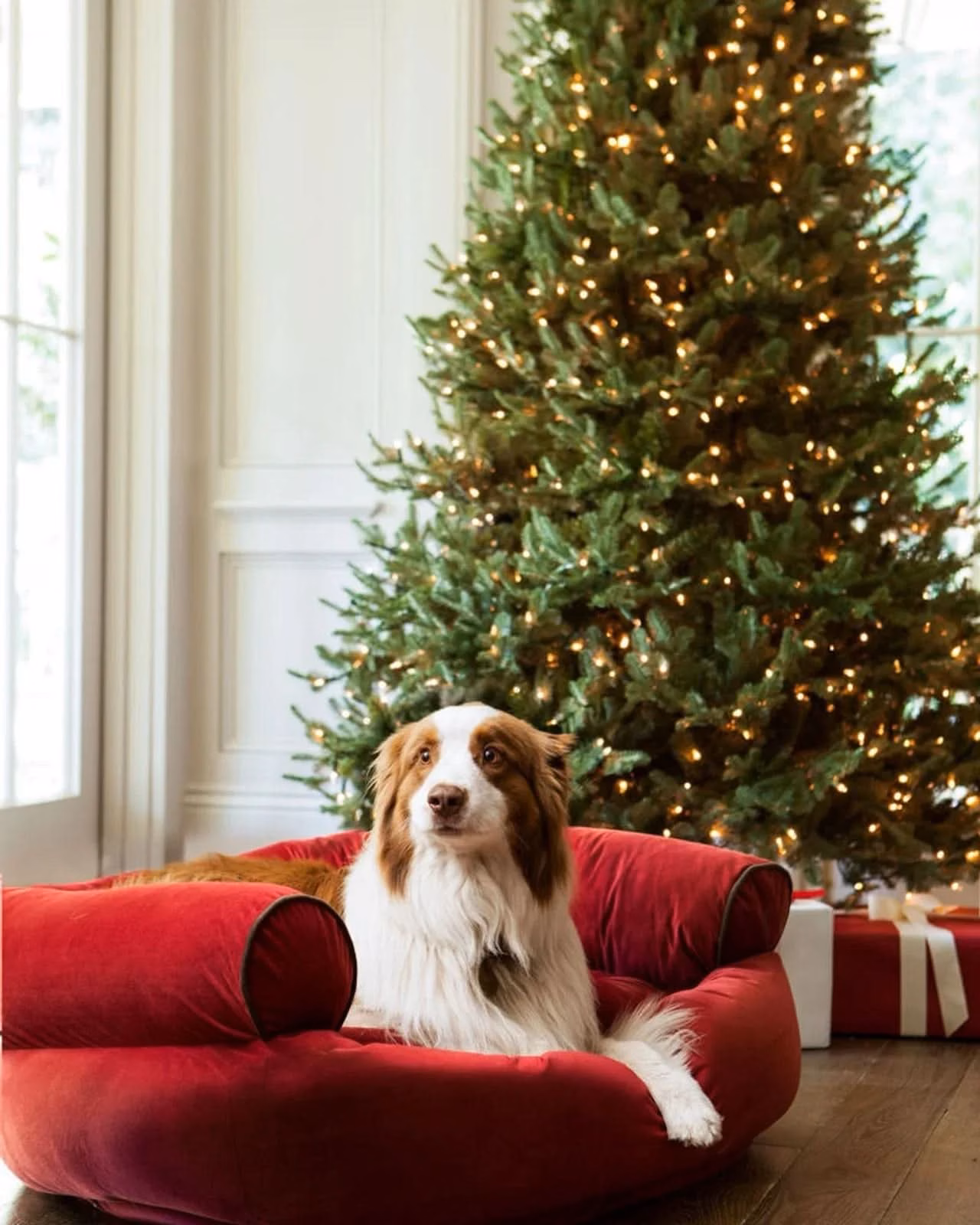 Árvore de Natal White Spruce Verde com Galhos Articulados, Suporte Metálico e Micro LEDs Embutidos - Image 6